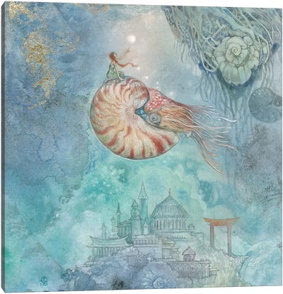 Nautilus VI Canvas Art Print - Stephanie Law