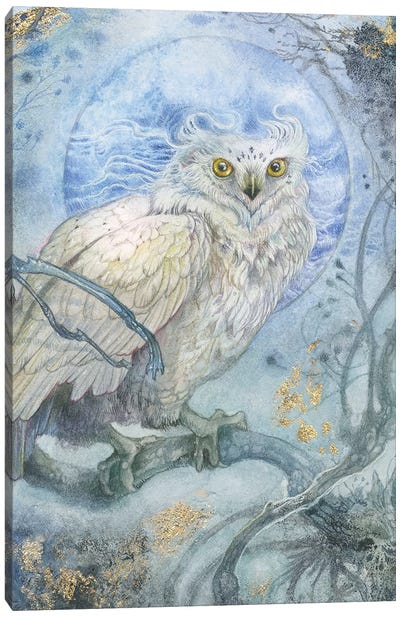 Night Wings III Canvas Art Print - Stephanie Law