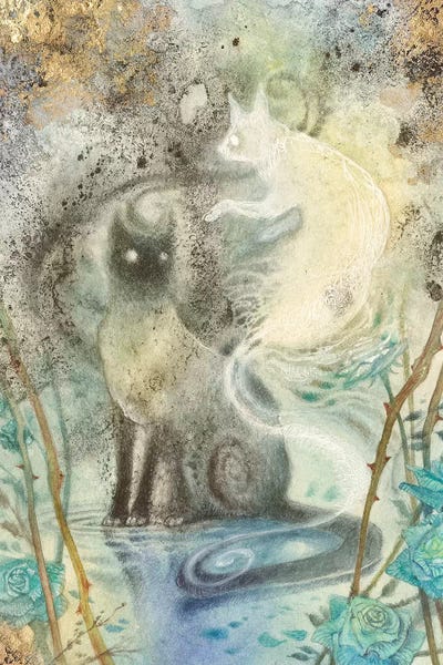 Playing With Shadows by Stephanie Law canvas print