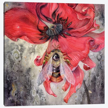 Bumblebee Canvas Print #SLW23} by Stephanie Law Canvas Artwork