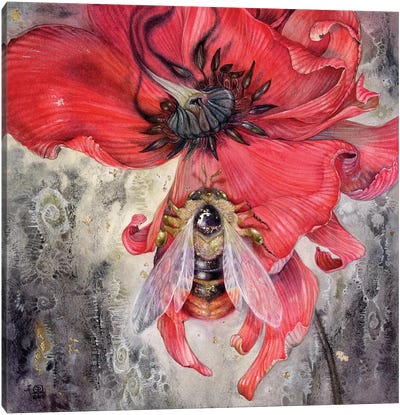 Bumblebee Canvas Art Print - Stephanie Law
