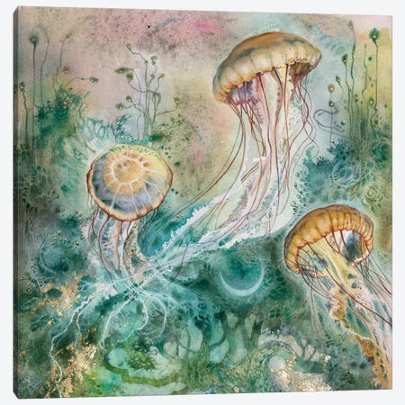 Jellyfish Canvas Print #SLW244} by Stephanie Law Canvas Wall Art