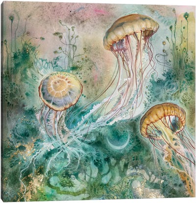 Jellyfish Canvas Art Print - Kids Ocean Life Art