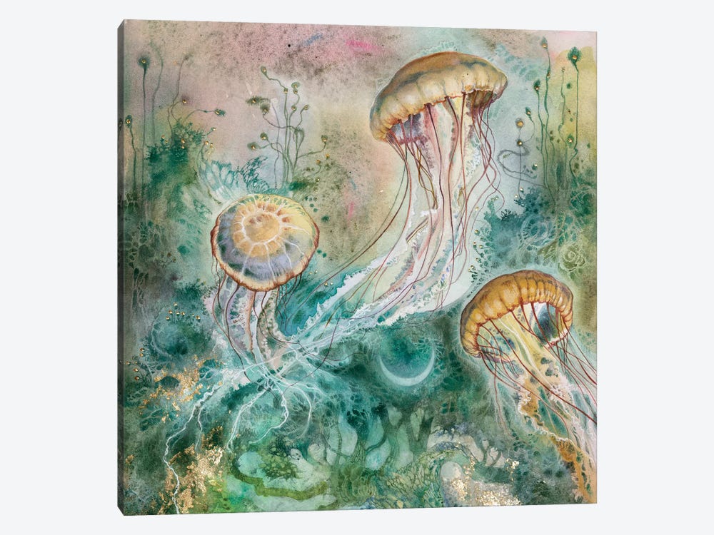 Jellyfish by Stephanie Law 1-piece Canvas Art