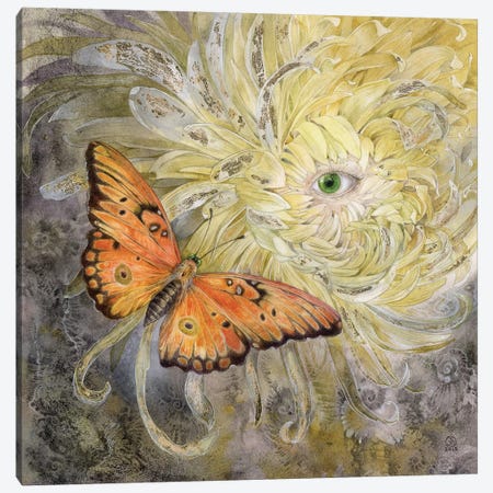 Butterfly Canvas Print #SLW24} by Stephanie Law Canvas Print
