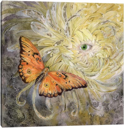 Butterfly Canvas Art Print - Stephanie Law