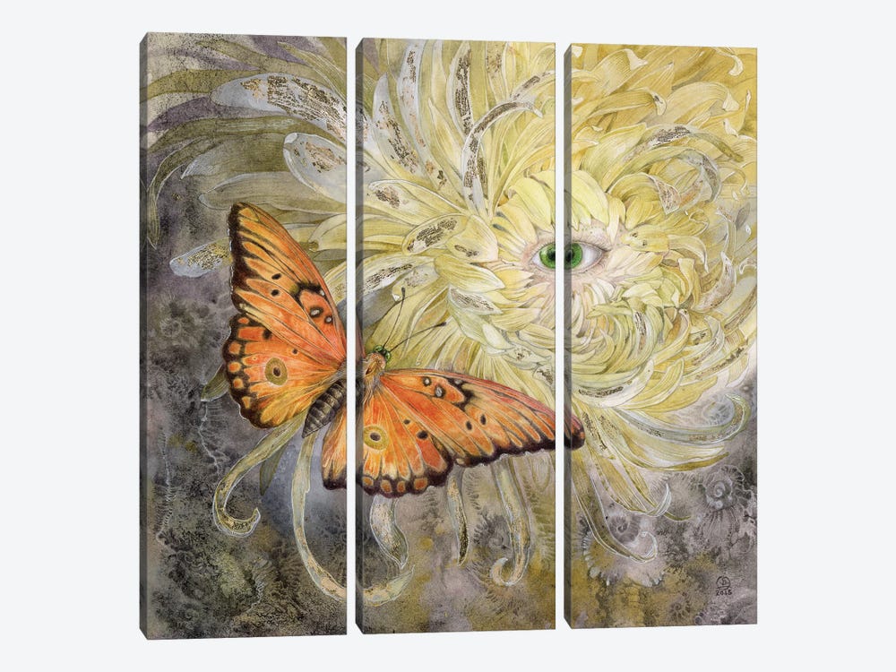 Butterfly by Stephanie Law 3-piece Canvas Print