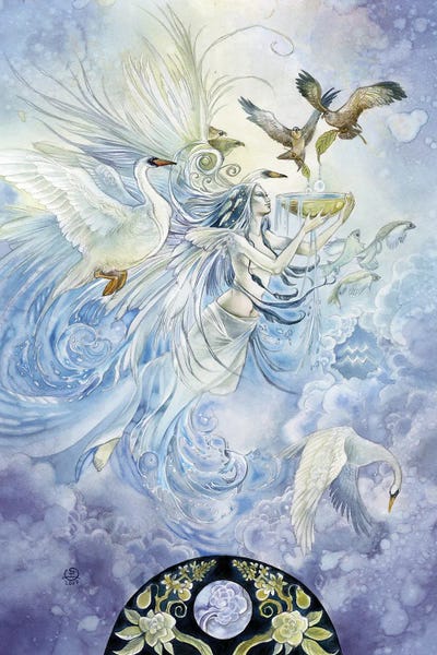 Astrology: Aquarius by Stephanie Law
