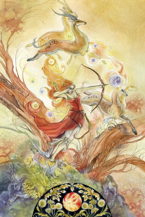 Sagittarius by Stephanie Law wall art