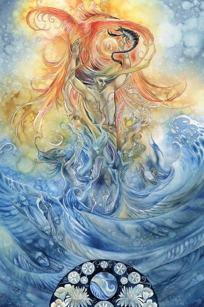 Scorpio by Stephanie Law canvas print