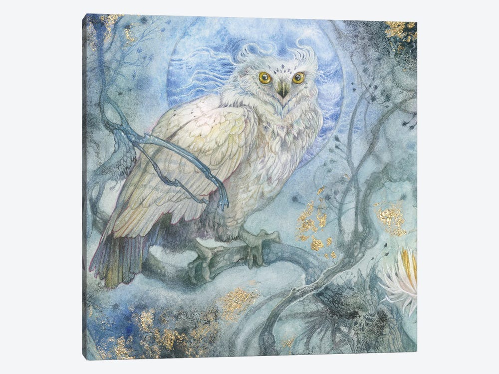 Moonlit Forest by Stephanie Law 1-piece Canvas Art