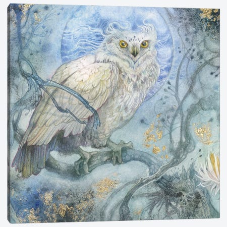 Moonlit Forest Canvas Print #SLW273} by Stephanie Law Canvas Wall Art