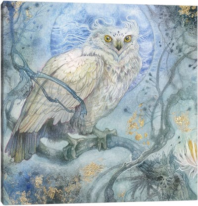 Moonlit Forest Canvas Art Print - Owls