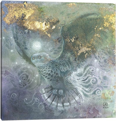 Shadowy Wings Canvas Art Print - Natural Meets Mythical