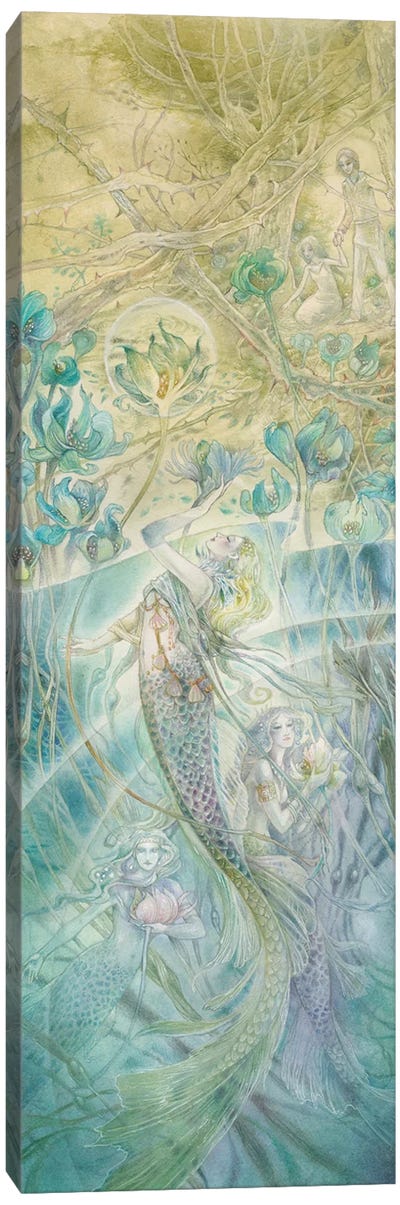 Reaching For The Light Canvas Art Print - Stephanie Law