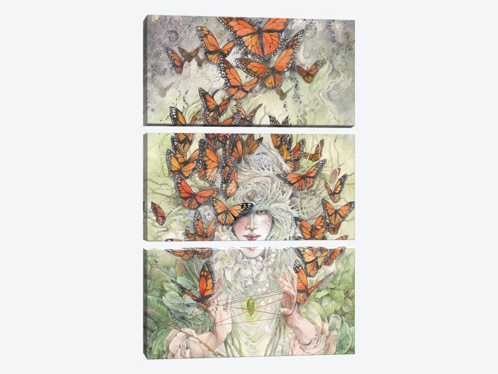 Cats Cradle by Stephanie Law 3-piece Canvas Wall Art