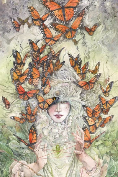 Insects: Cats Cradle by Stephanie Law