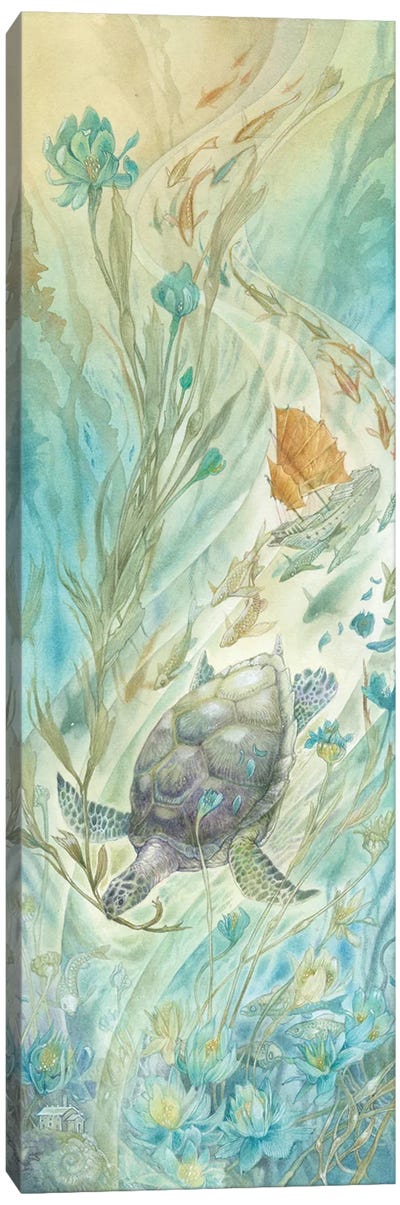 Planting Gardens Canvas Art Print - Turtles