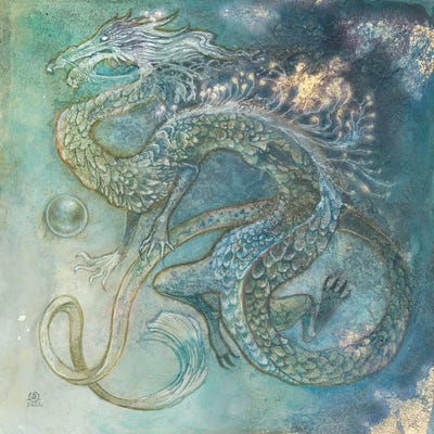 Dragon by Stephanie Law canvas print