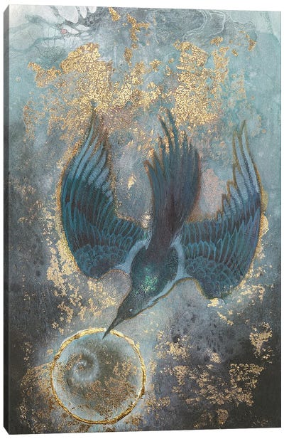 Magpie Canvas Art Print - Stephanie Law