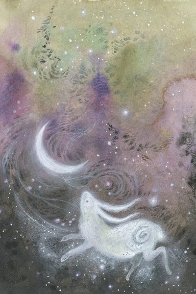 Moon Rabbit II by Stephanie Law canvas print