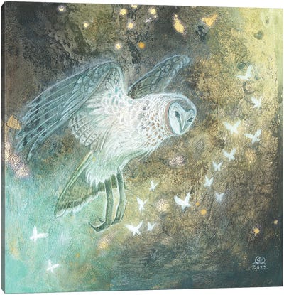 Owl II Canvas Art Print - Stephanie Law