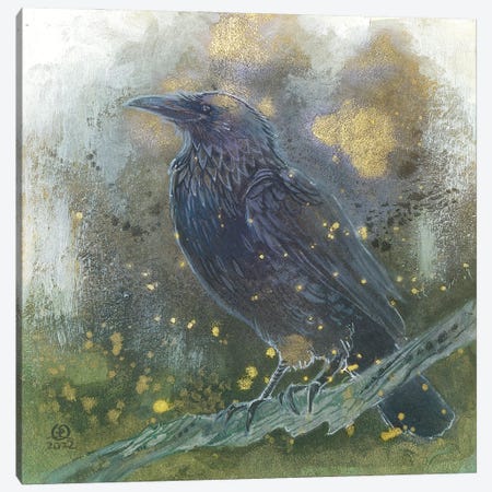 Raven Canvas Print #SLW298} by Stephanie Law Canvas Artwork
