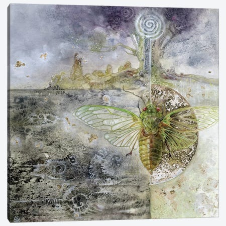 Cicada Canvas Print #SLW30} by Stephanie Law Canvas Print