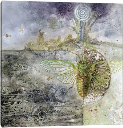 Cicada Canvas Art Print - Stephanie Law