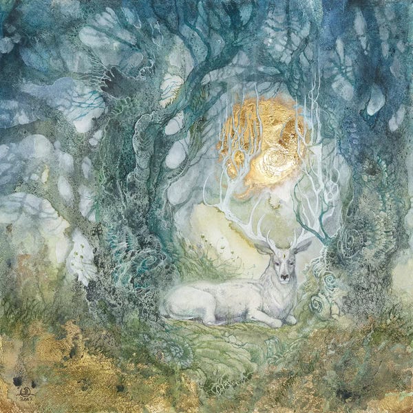 Deer: Coda by Stephanie Law