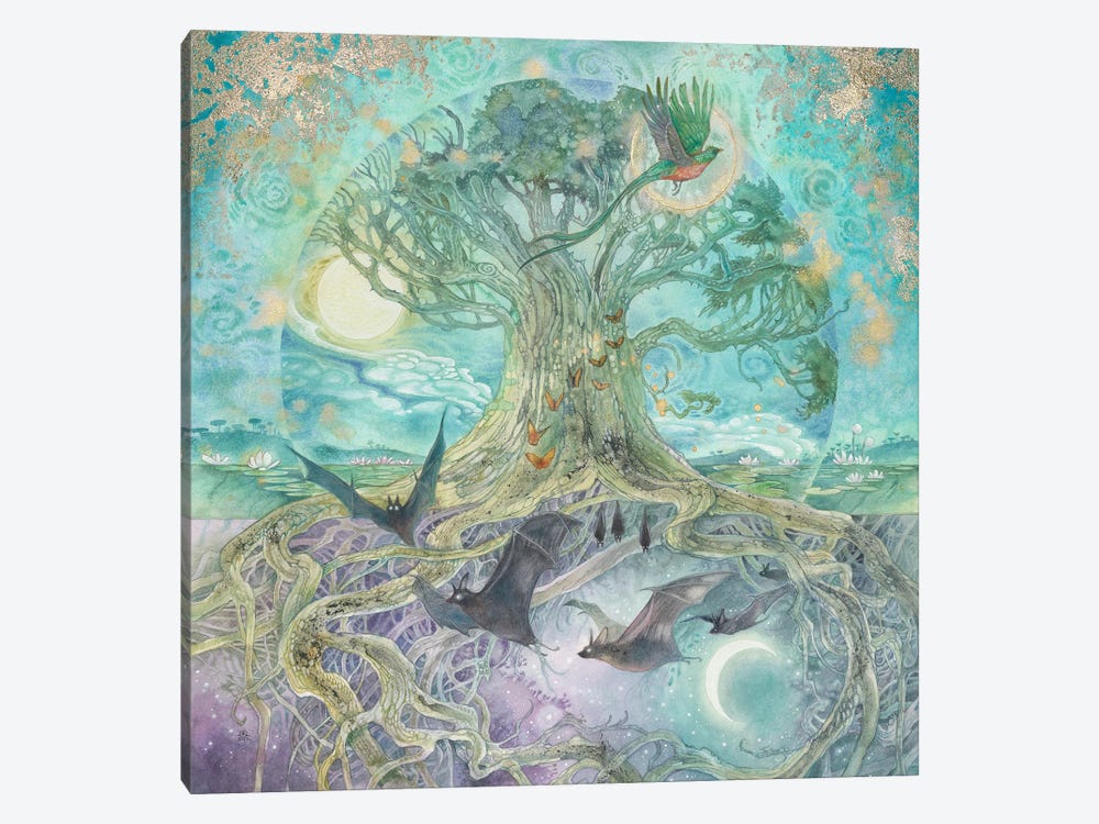 Yaxche Tree Of Life I by Stephanie Law 1-piece Canvas Wall Art