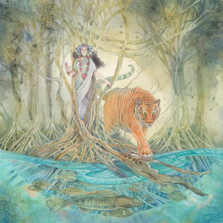 Lady Of The Mangroves