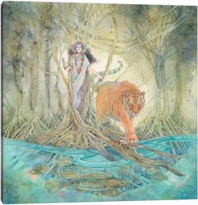 Lady Of The Mangroves Canvas Art Print - Stephanie Law
