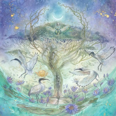 Primordial by Stephanie Law metal wall art