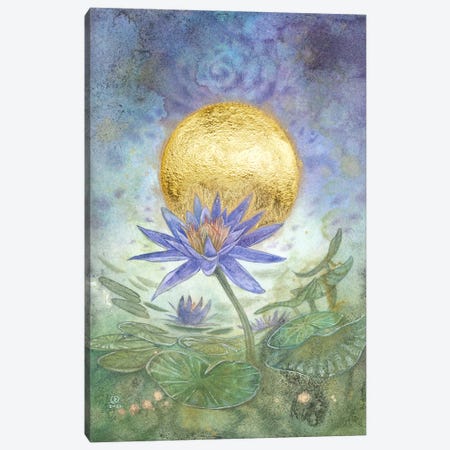 Blue Lily Of The Nile Canvas Print #SLW356} by Stephanie Law Canvas Art