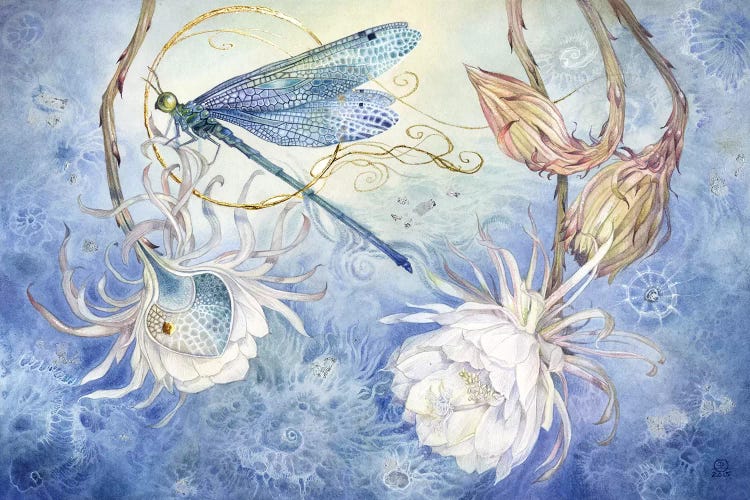 Damsel Fly III by Stephanie Law wall art