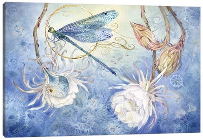 Damsel Fly III Canvas Art Print - Stephanie Law