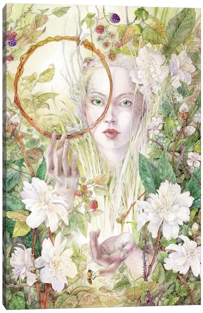 Daphnis Canvas Art Print - Stephanie Law