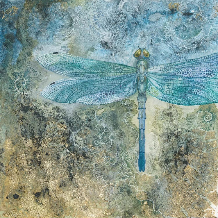 Dragonfly I