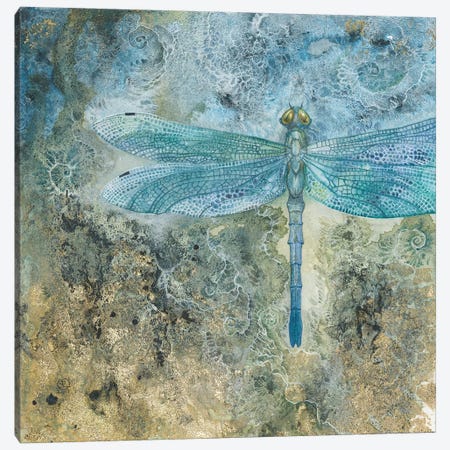 Dragonfly I Canvas Print #SLW44} by Stephanie Law Canvas Print