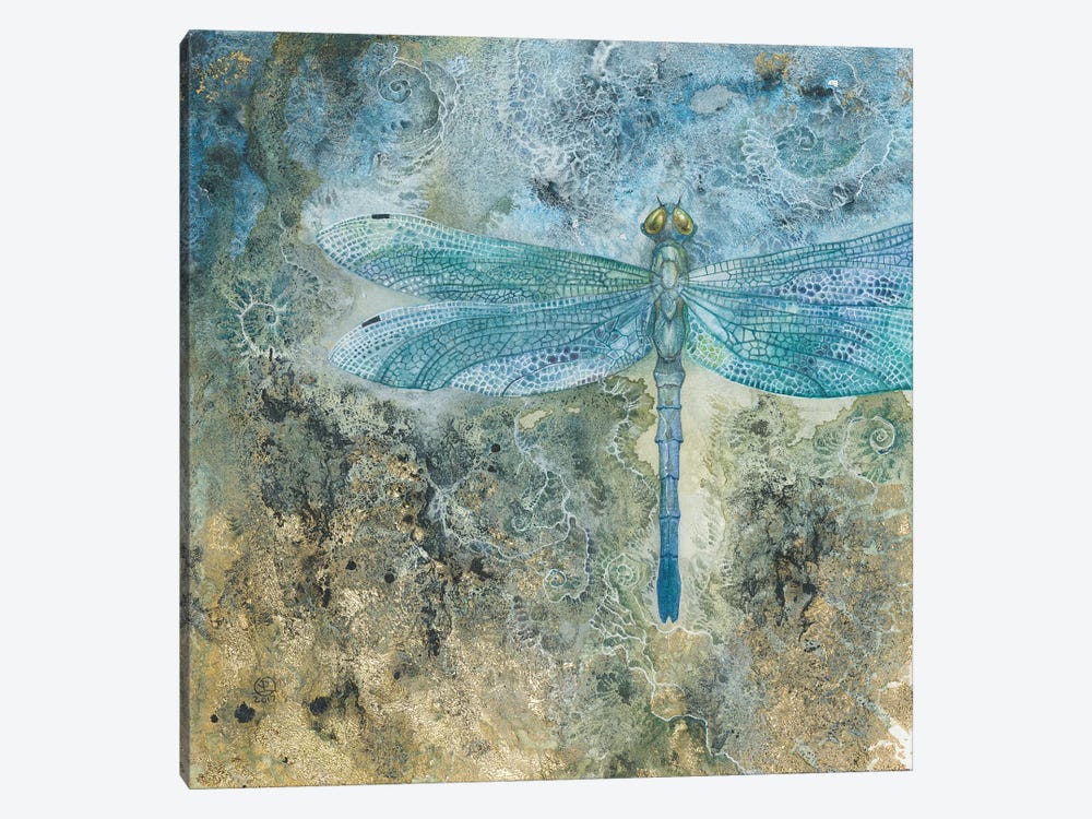 Dragonfly I by Stephanie Law 1-piece Canvas Art Print
