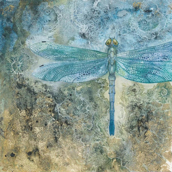 Dragonflies: Dragonfly I by Stephanie Law