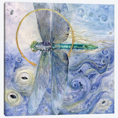 Dragonfly II Canvas Print #SLW45} by Stephanie Law Canvas Print
