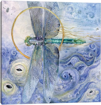 Dragonfly II Canvas Art Print - Dragonfly Art