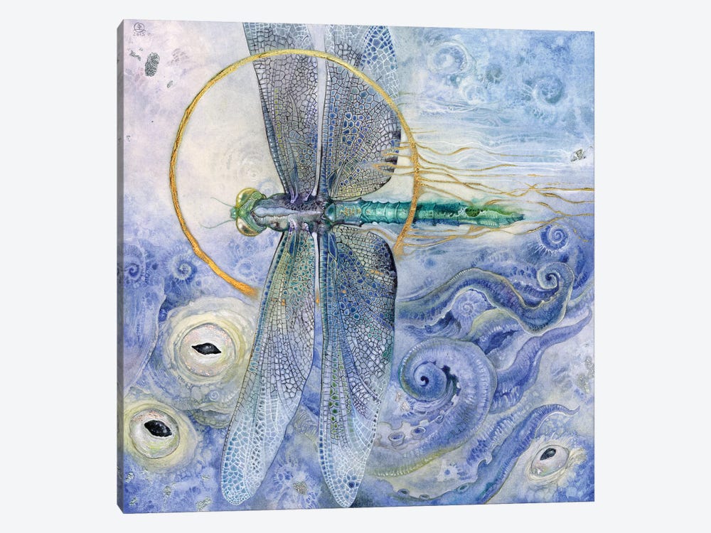 Dragonfly II by Stephanie Law 1-piece Canvas Art