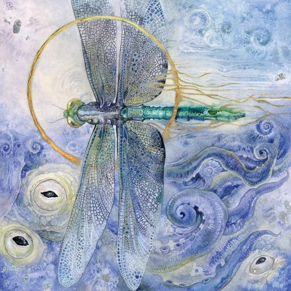 Dragonflies: Dragonfly II by Stephanie Law