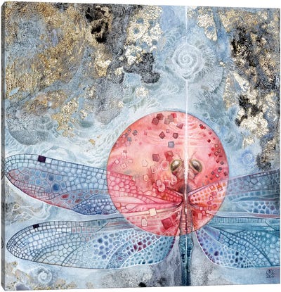 Dragonfly III Canvas Art Print - Stephanie Law