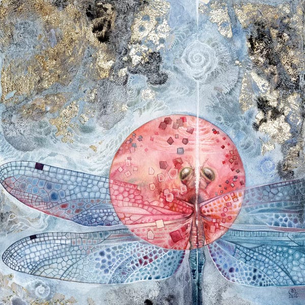 Dragonflies: Dragonfly III by Stephanie Law