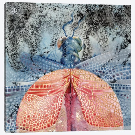 Dragonfly IV Canvas Print #SLW47} by Stephanie Law Canvas Art Print