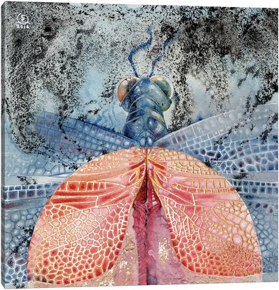Dragonfly IV Canvas Art Print - Dragonfly Art
